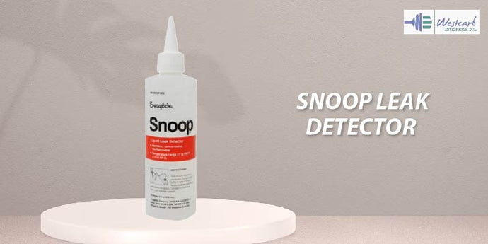 How can a leak detector safeguard your home